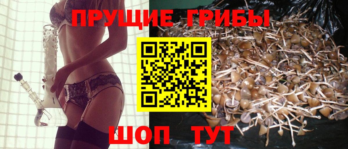 Галлюциногенные грибы MAGIC MUSHROOMS  купить наркотик  Тимашёвск  Вход с VPN 